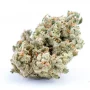 Сорт семян каннабиса Jack Herer Feminised Gold